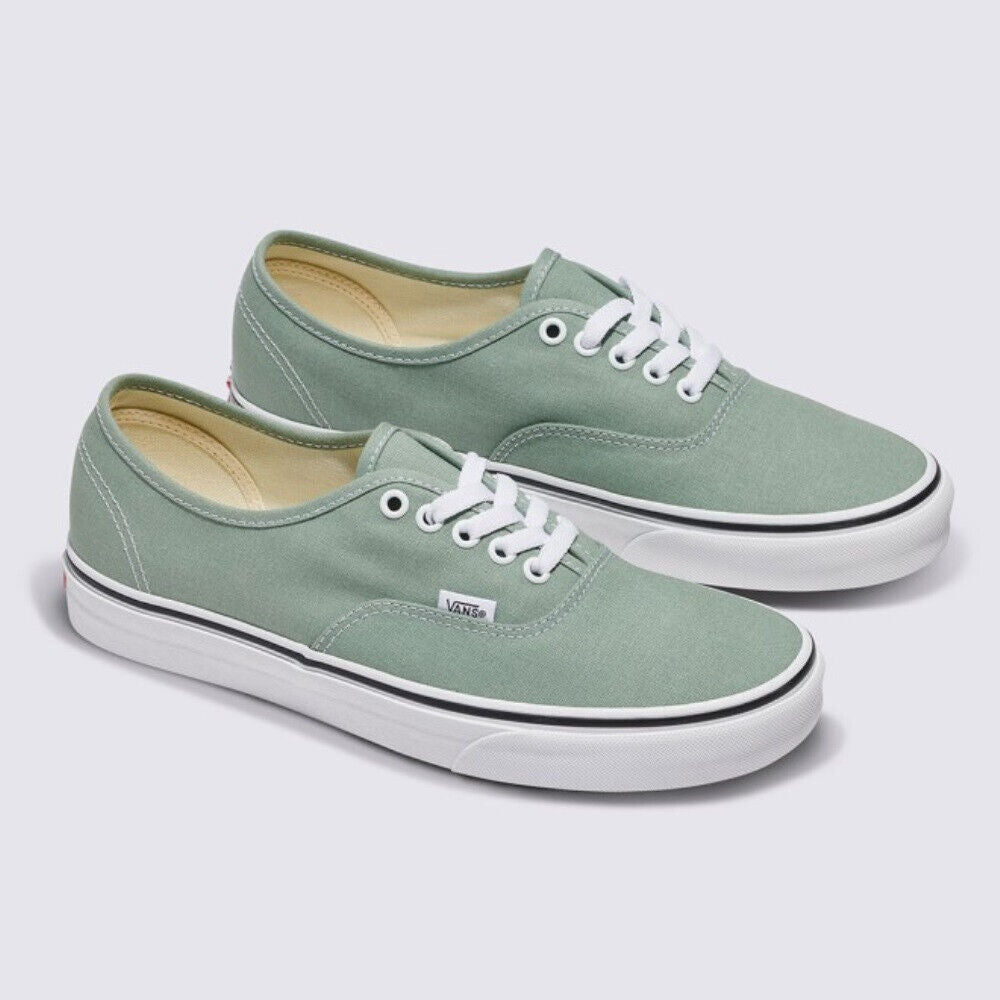 Vans Color Theory Authentic Skate Sneakers Iceberg Green VN000BW5CJL