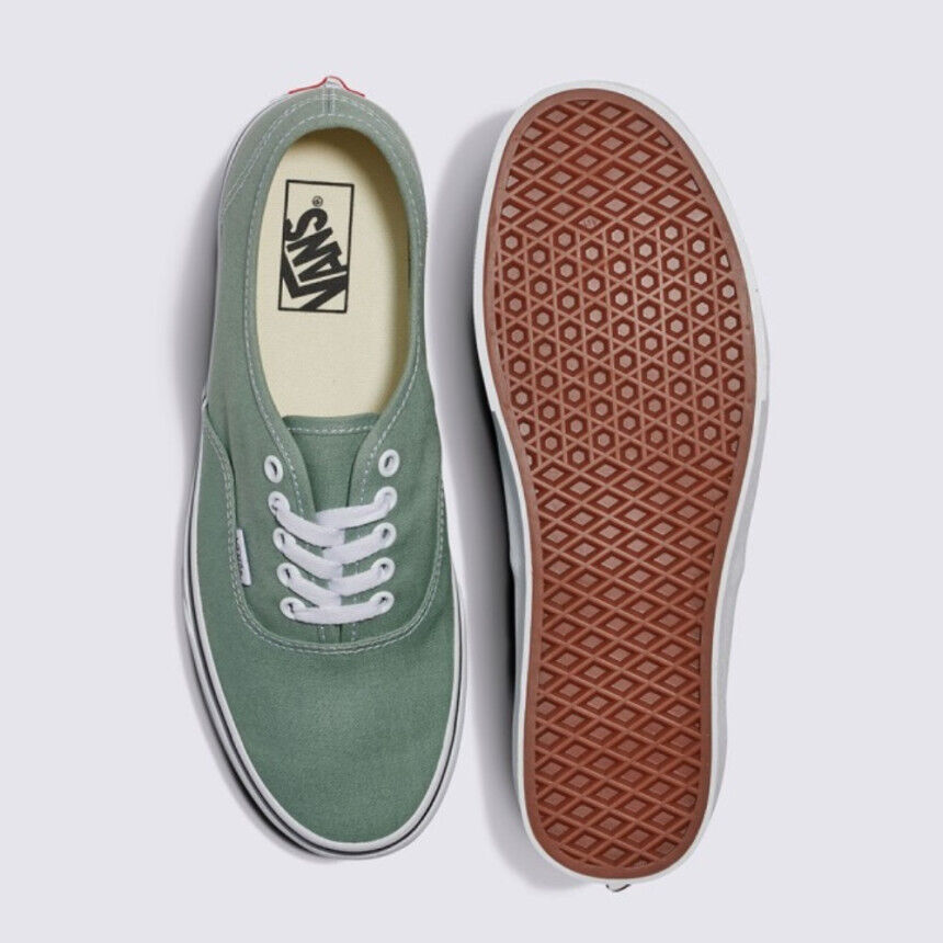 Vans Color Theory Authentic Skate Sneakers Iceberg Green VN000BW5CJL