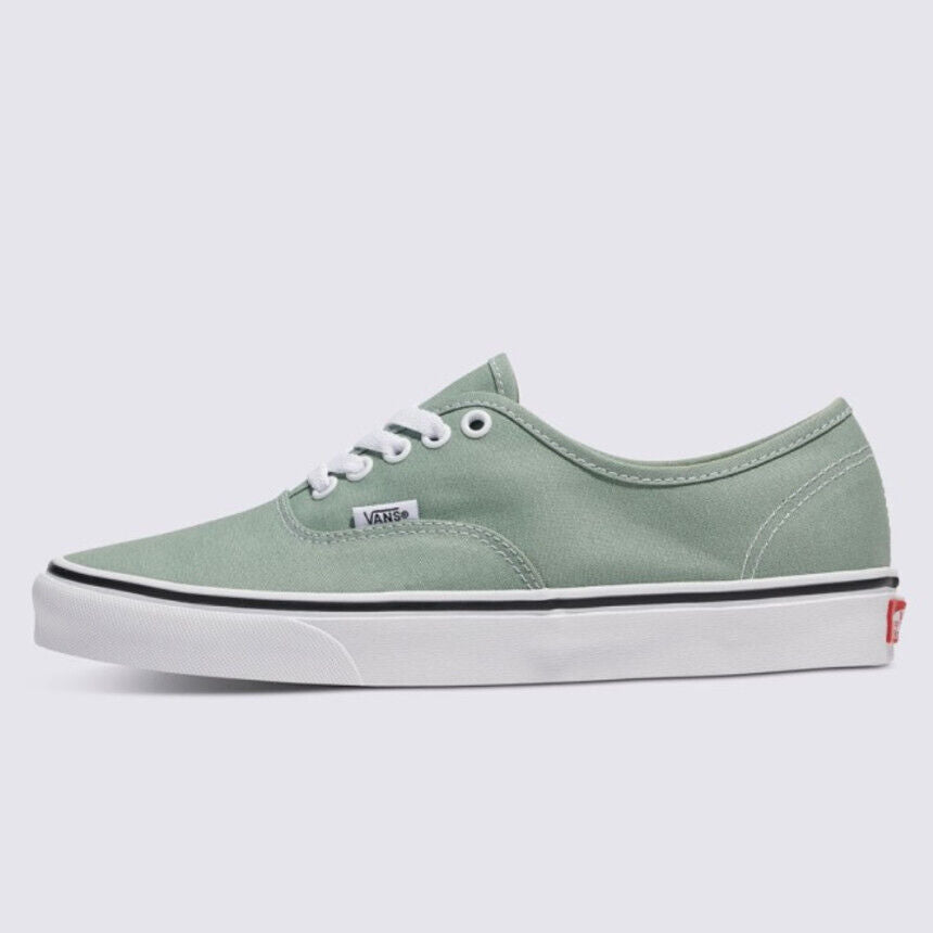 Vans Color Theory Authentic Skate Sneakers Iceberg Green VN000BW5CJL